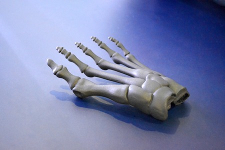 Gray prototype of the human foot skeleton printed on 3d printer on dark surface. Fused deposition modeling, FDM. Progressive modern additive technology. Concept of 4.0 industrial revolutionの写真素材