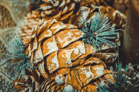 Natural Christmas New Years toy pine cone and Christmas tree branch close-up. Winter Christmas New Year background.の写真素材