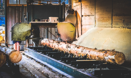Sawmill. Process of machining logs in equipment sawmill machine saw saws the tree trunk on the plank...