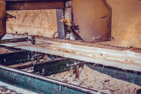 Sawmill. Process of machining logs in equipment sawmill machine saw saws the tree trunk on the plank boards. Wood sawdust work sawing timber wood wooden woodworkingの写真素材