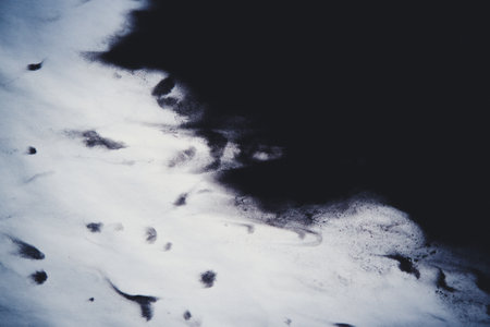 Black Ink Spread and Absorbed Over White Close-up Paper. Abstract Backgroundの写真素材