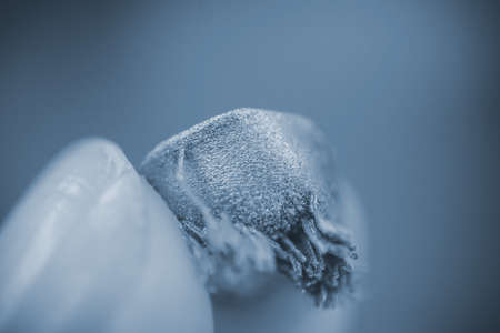 Small object printed on metal 3d printer macro.の写真素材