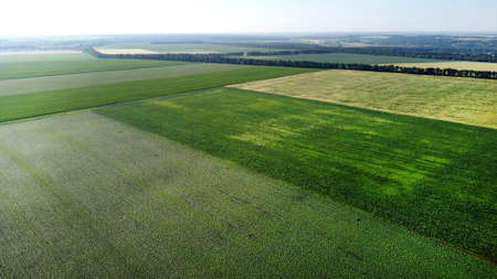 Aerial drone view flight over different agricultural fields sown