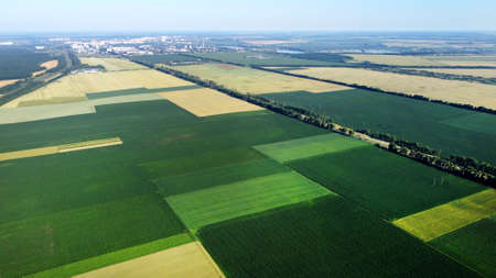 Aerial drone view flight over different agricultural fields sown