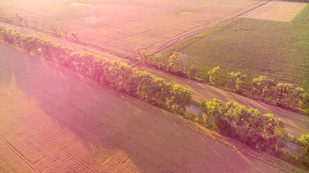 Drone flying over road between wheat fields during dawn sunset.の写真素材