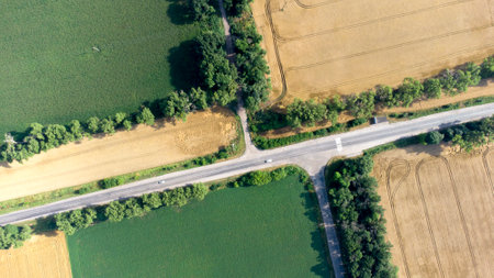 Aerial drone view flight over an asphalt road between yellow and greenの写真素材