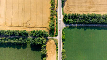 Aerial drone view flight over an asphalt road between yellow and greenの写真素材