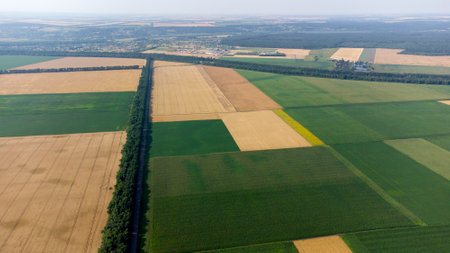 Aerial drone view flight over different yellow and green agricultural fieldsの写真素材