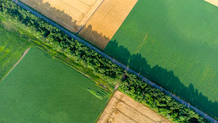 Aerial drone view flight over different yellow green agricultural fieldsの写真素材