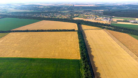 Aerial drone view flight over different yellow green agricultural fieldsの写真素材