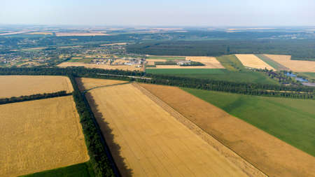 Aerial drone view flight over different yellow green agricultural fieldsの写真素材