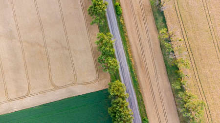 Aerial drone view flight over different yellow green agricultural fieldsの写真素材