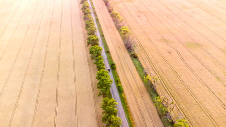 Drone flying over road between wheat fields during dawn sunset.の写真素材