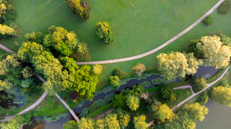 Top view dirt paths in the park in summer. Green trees, glades, lakesの写真素材