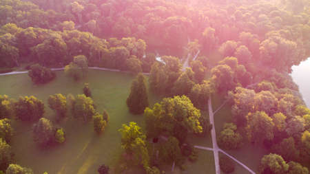 Top view dirt paths in the park in summer. Green trees, glades, lakesの写真素材