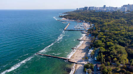 People Walking and Relaxing on Sandy Beach . Aerial Drone View Over Public Beachの写真素材