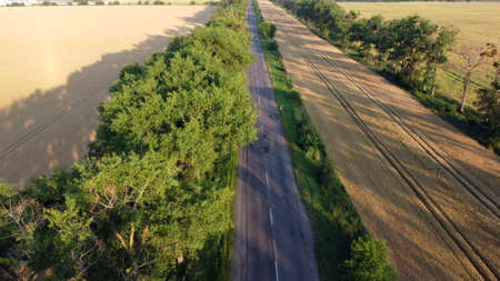 Aerial drone view flight over highway wheat field and green trees at sunset dawn