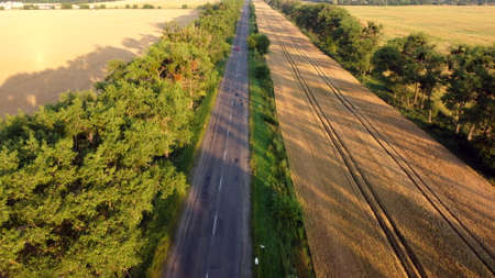 Aerial drone view flight over highway wheat field and green trees at sunset dawnの写真素材