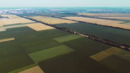 Aerial drone view flight over different agricultural fields sownの写真素材