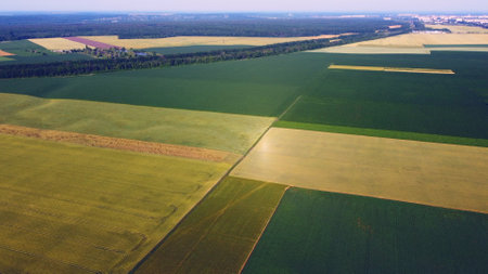 Aerial drone view flight over different agricultural fields sownの写真素材