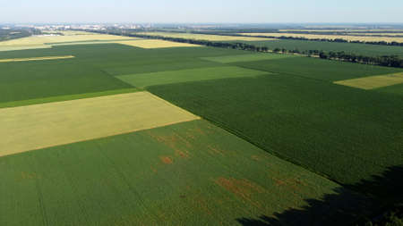 Aerial drone view flight over different agricultural fieldsの写真素材
