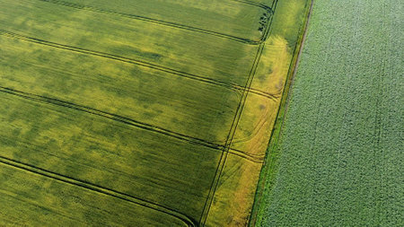 Aerial drone view flight over different agricultural fieldsの写真素材
