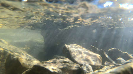 Flowing water, skylight of sun through water, stones lying at bottomの写真素材