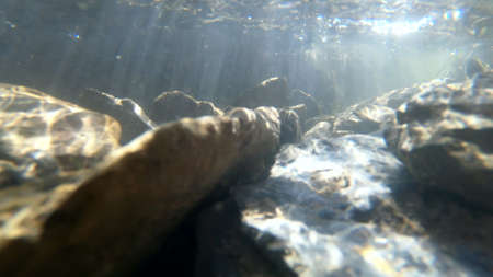 Flowing water, skylight of sun through water, stones lying at bottomの写真素材