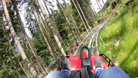 Person rides in fast rodelbahn sledding in mountains in woods among treesの写真素材