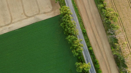 Aerial drone view flight over different yellow green agricultural fieldsの写真素材