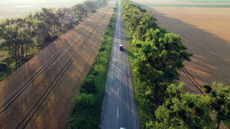 Aerial drone view flight over highway wheat field and green trees at sunset dawnの写真素材