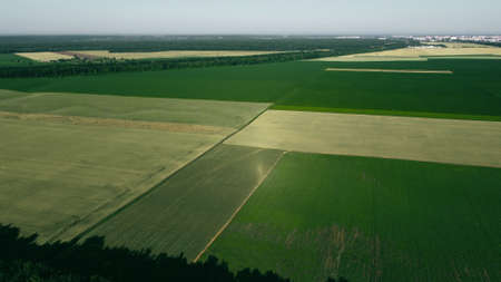 Aerial drone view flight over different agricultural fields sownの写真素材