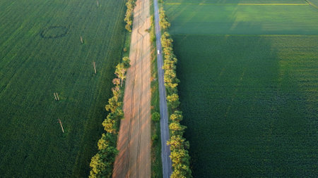 Drone flying over road between green agricultural fields during dawn sunset.の写真素材