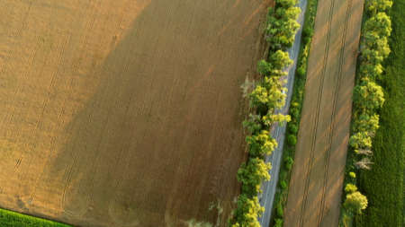 Aerial drone view flight over asphalt road with green treesの写真素材