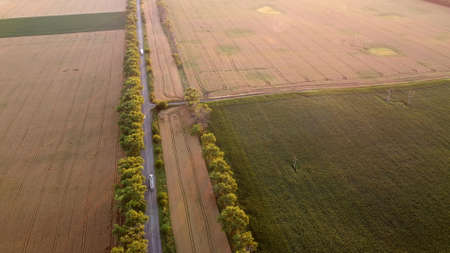Drone flying over road between wheat fields during dawn sunsetの写真素材
