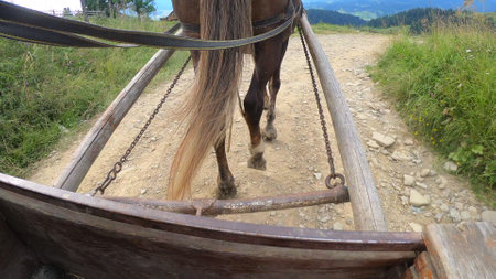 Horse pulls a chaise on a dirt path on a sunny dayの写真素材