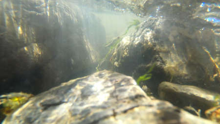 Flowing water, skylight of sun through water, stones lying at bottom,の写真素材