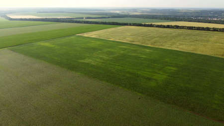 Aerial drone view flight over different agricultural fieldsの写真素材
