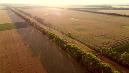 Drone flying over road between wheat fields during dawn sunset.の写真素材
