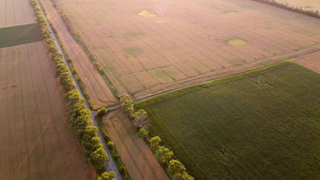Drone flying over road between wheat fields during dawn sunset.の写真素材