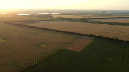 Aerial drone view flight over fields with different growingの写真素材