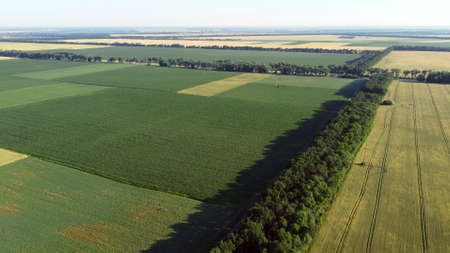 Aerial drone view flight over different agricultural fieldsの写真素材
