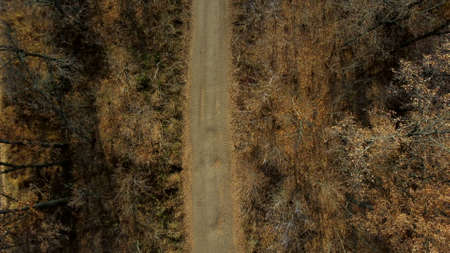Landscape view of dirt rural road between trees among fields on sunny autumn dayの写真素材