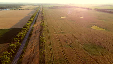 Drone flying over road between wheat fields during dawn sunset.の写真素材