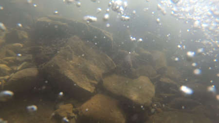 Old stones covered with mule and brown silt lie at the bottom of the riverの写真素材
