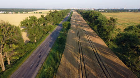 Aerial drone view flight over highway wheat field and green trees at sunset dawnの写真素材