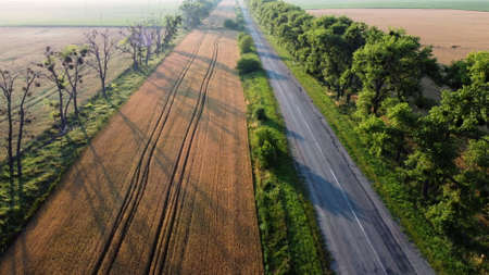 Aerial drone view flight over highway wheat field and green trees at sunset dawnの写真素材