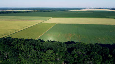 Aerial drone view flight over different agricultural fields sownの写真素材