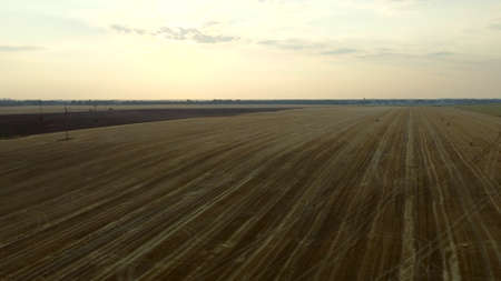 Field after harvest at dusk dawn. Camera goes up. Sky clouds.の写真素材