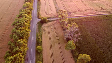 Drone flying over road between wheat fields during dawn sunsetの写真素材